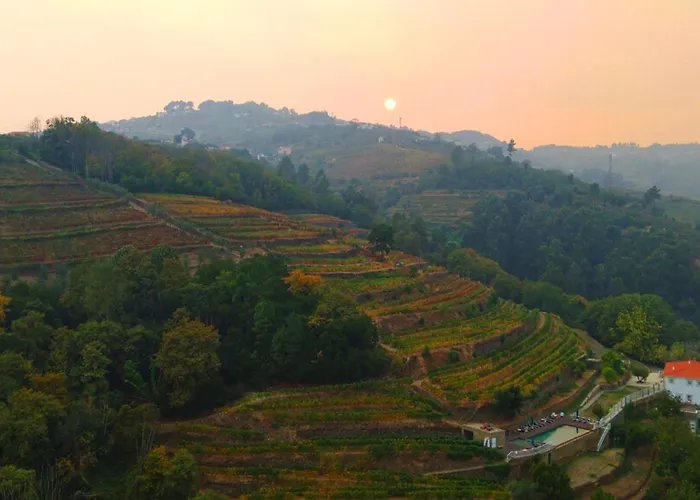 Quinta De Travassinhos- Douro Valley & Spa