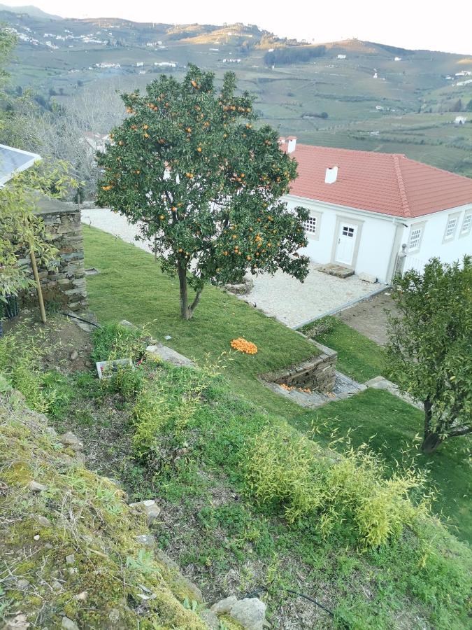 Quinta De Travassinhos- Douro Valley & *