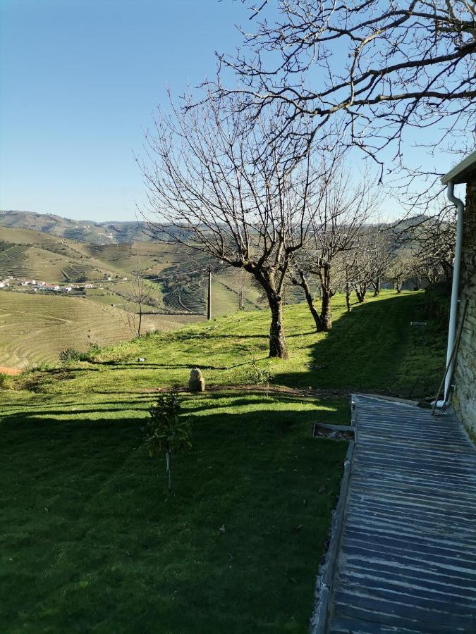 Quinta De Travassinhos- Douro Valley & Alojamento de Turismo Rural