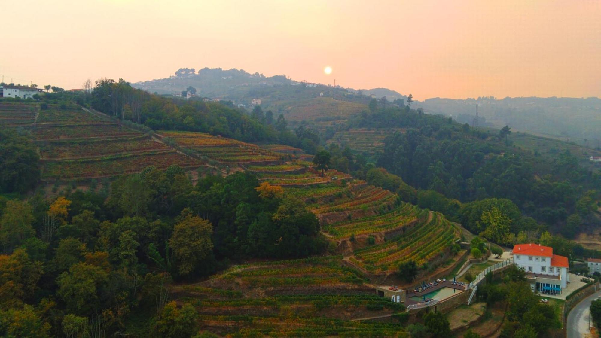 Quinta De Travassinhos- Douro Valley & Santa Marta de Penaguião