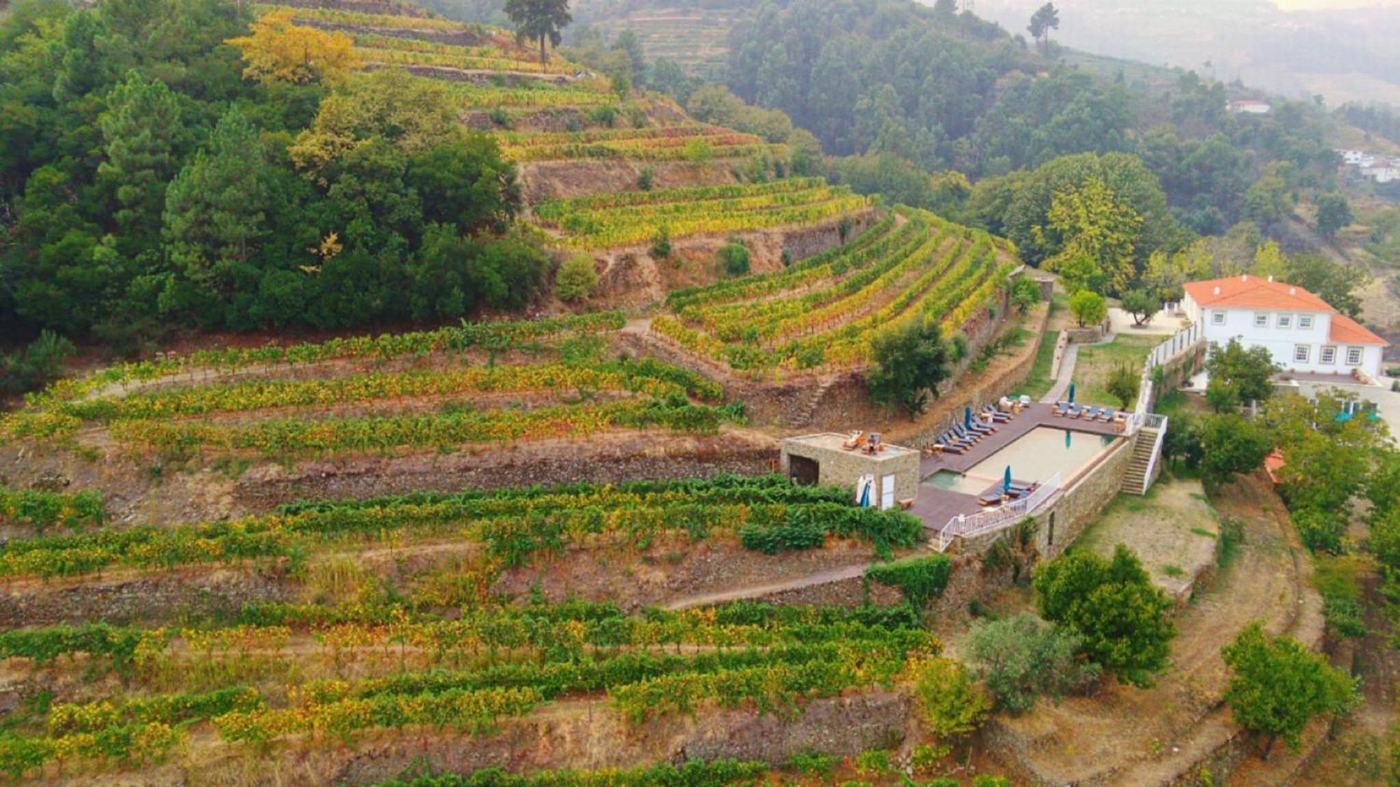 Quinta De Travassinhos- Douro Valley & Farm stay